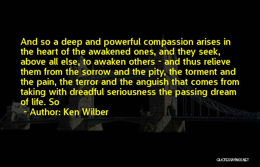 In All Seriousness Quotes By Ken Wilber