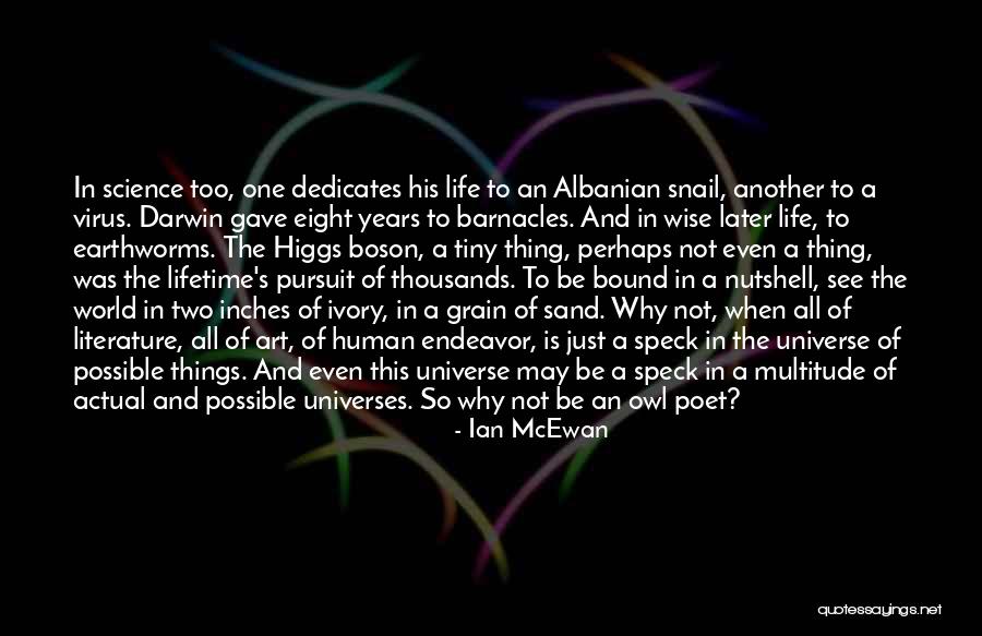 In Another Lifetime Quotes By Ian McEwan In Another Lifetime Quotes By Ian McEwan