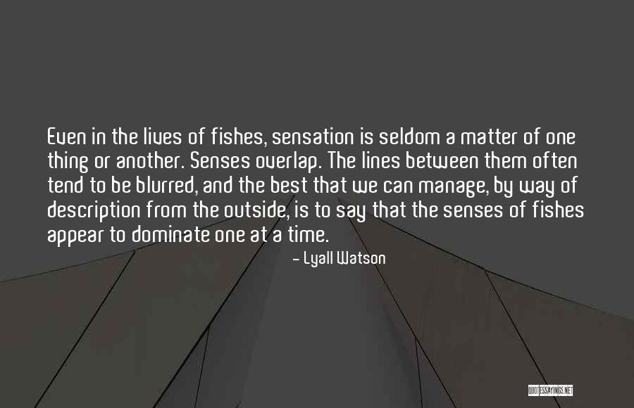 In Between The Lines Quotes By Lyall Watson