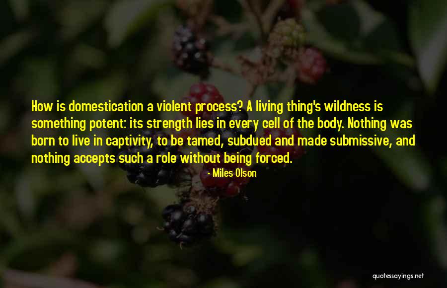 In Captivity Quotes By Miles Olson In Captivity Quotes By Miles Olson