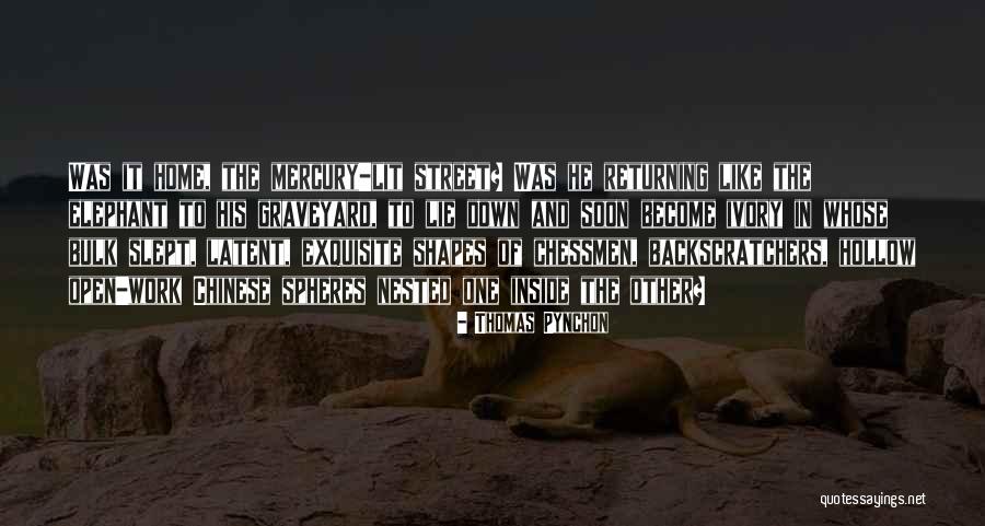 In Chinese Quotes By Thomas Pynchon In Chinese Quotes By Thomas Pynchon