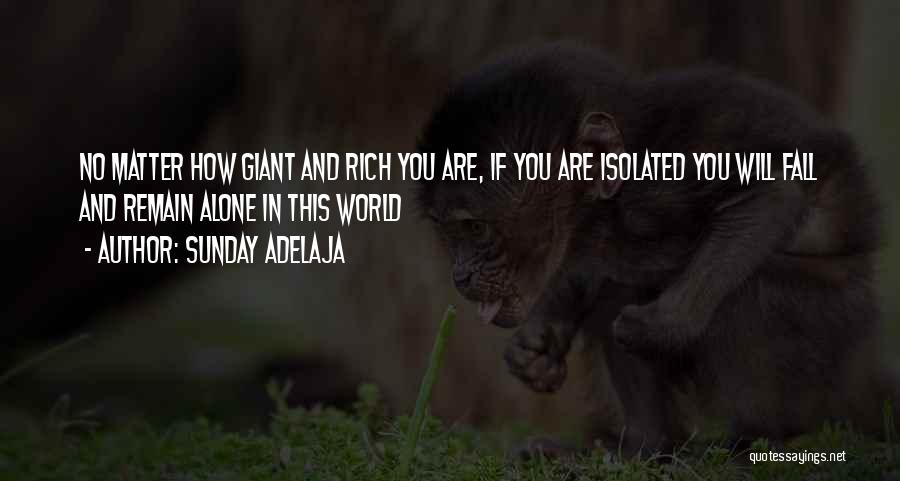 In Christ Alone Quotes By Sunday Adelaja