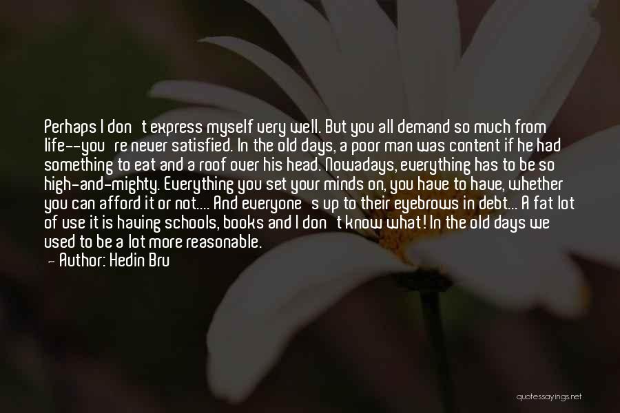 In Debt Quotes By Hedin Bru