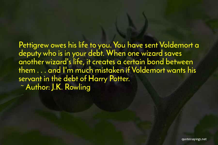 In Debt Quotes By J.K. Rowling