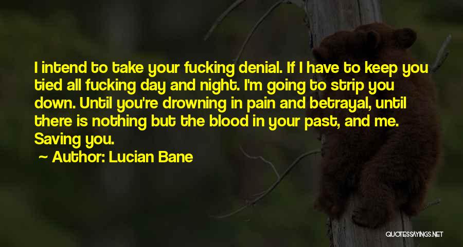 In Denial Quotes By Lucian Bane