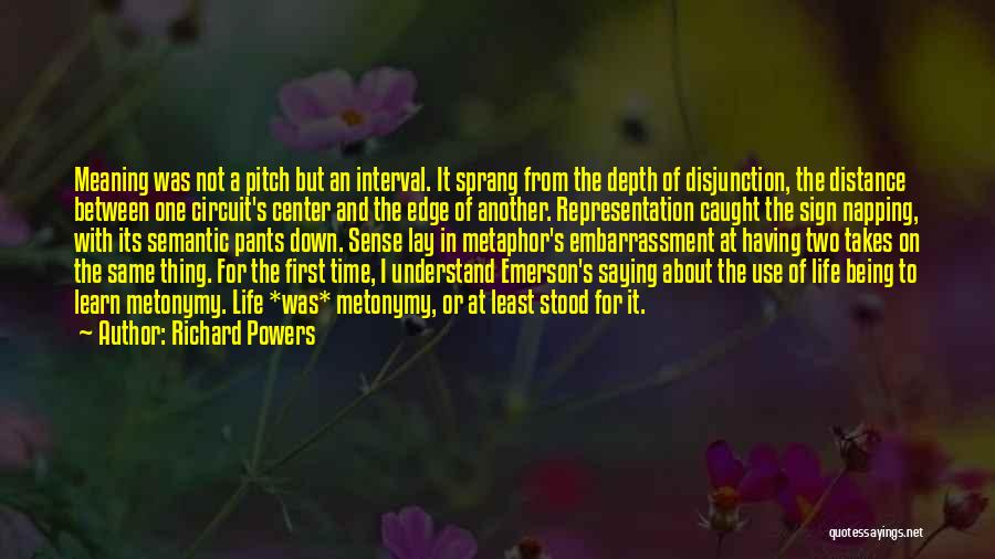 In Depth Meaning Quotes By Richard Powers