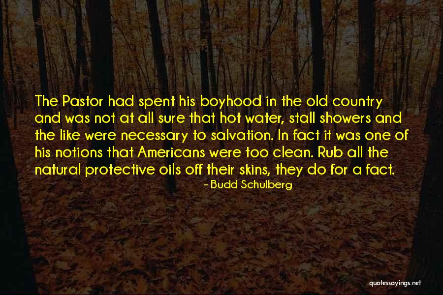 In Fact Quotes By Budd Schulberg