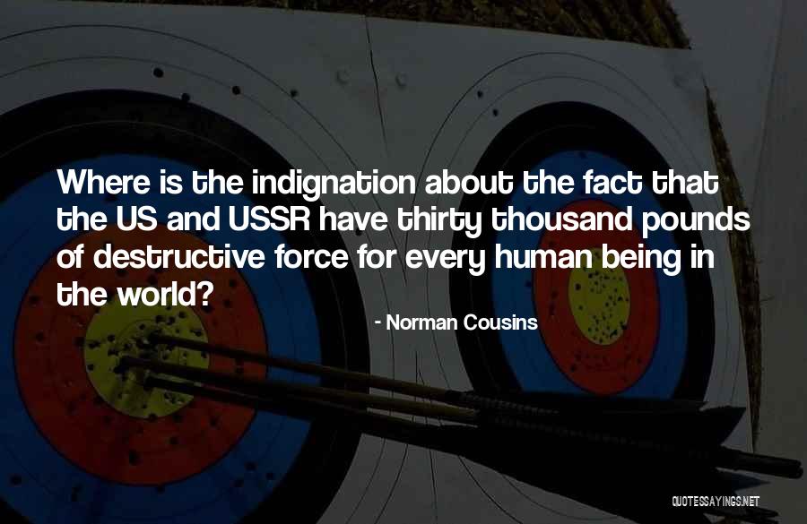 In Fact Quotes By Norman Cousins