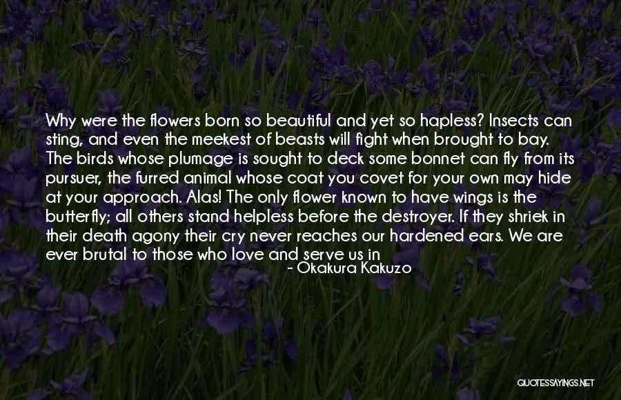 In Favor Of Death Quotes By Okakura Kakuzo In Favor Of Death Quotes By Okakura Kakuzo