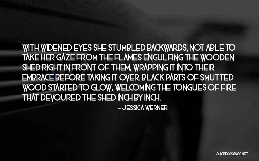 In Flames Take Quotes By Jessica Werner In Flames Take Quotes By Jessica Werner