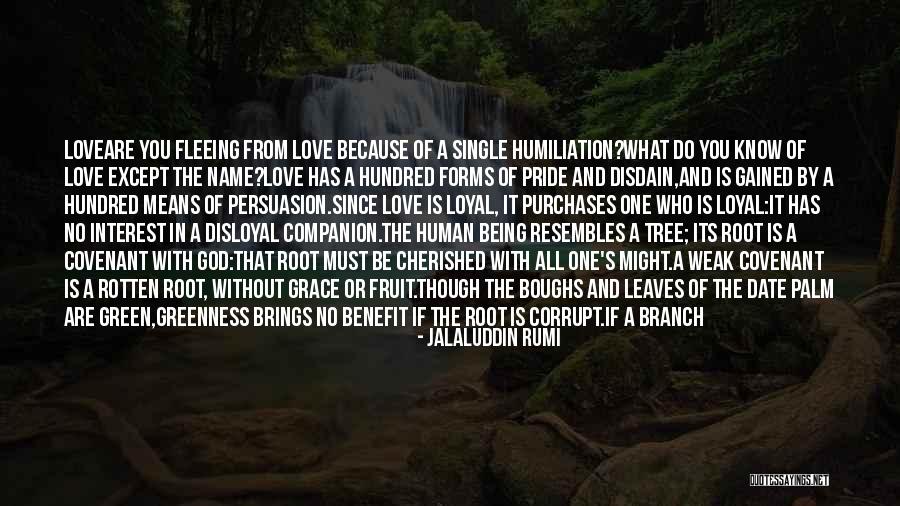 In God's Hands Quotes By Jalaluddin Rumi In God's Hands Quotes By Jalaluddin Rumi