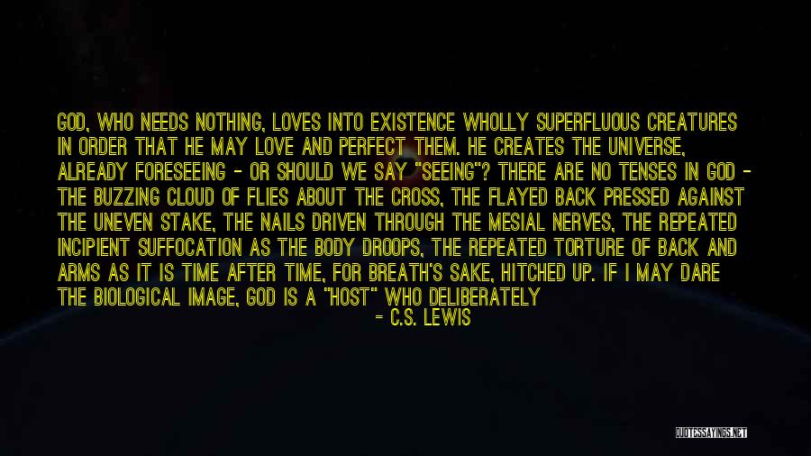 In God's Perfect Time Quotes By C.S. Lewis