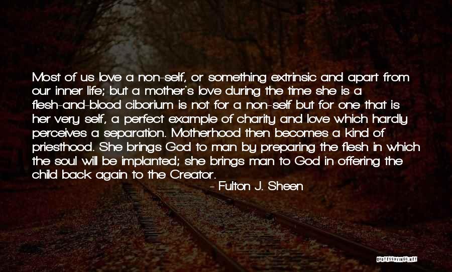 In God's Perfect Time Quotes By Fulton J. Sheen