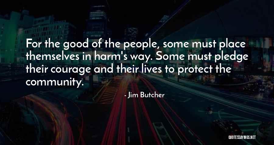 In Harm S Way Quotes By Jim Butcher In Harm S Way Quotes By Jim Butcher