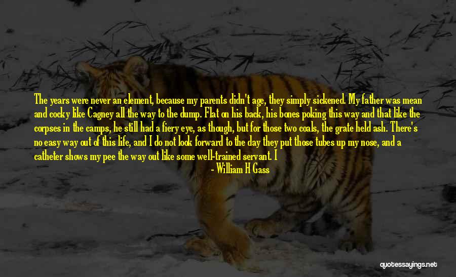 In Her Element Quotes By William H Gass In Her Element Quotes By William H Gass