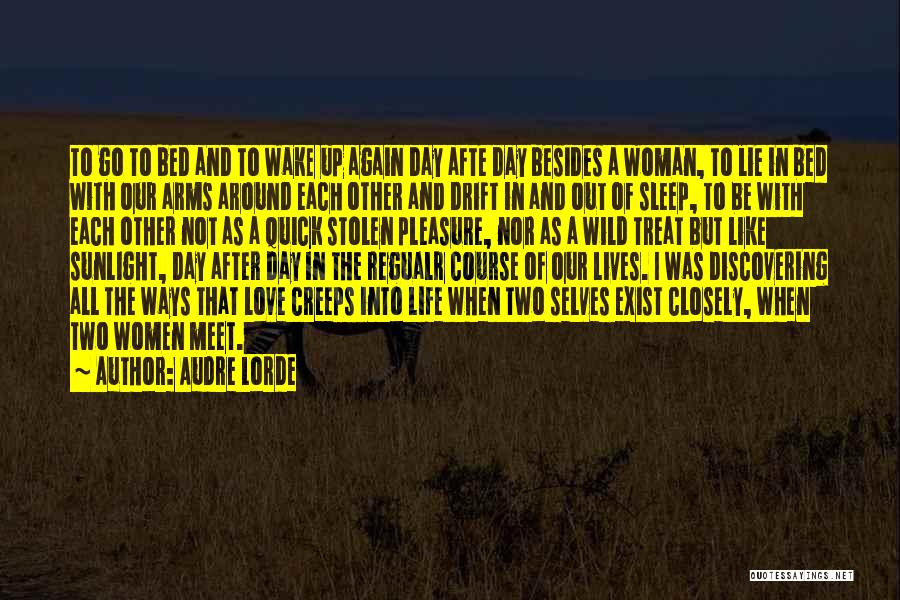 In Into The Wild Quotes By Audre Lorde
