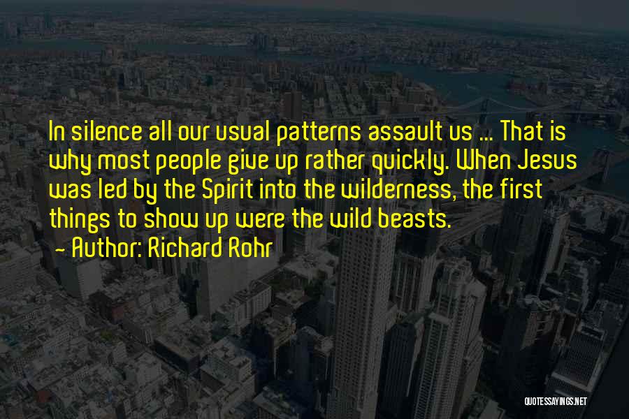 In Into The Wild Quotes By Richard Rohr