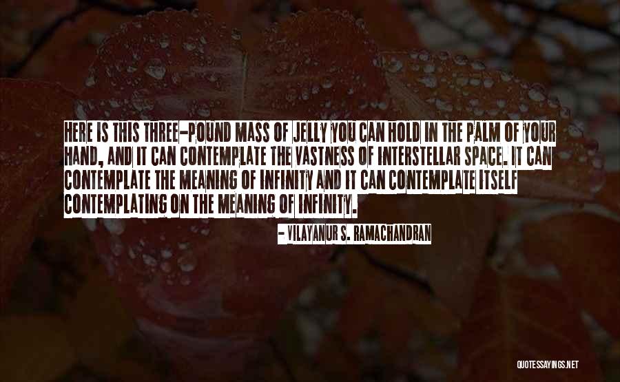 In Itself Quotes By Vilayanur S. Ramachandran In Itself Quotes By Vilayanur S. Ramachandran