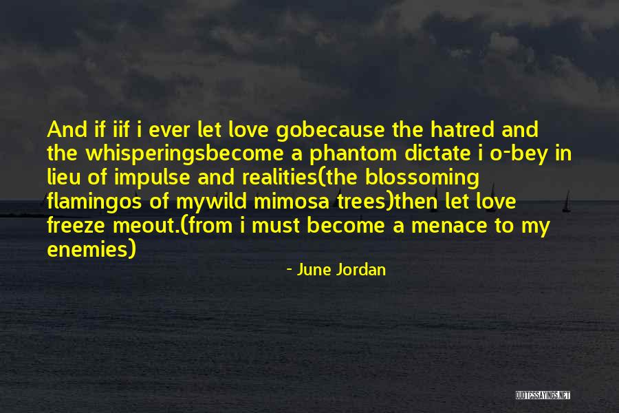 In Lieu Of Quotes By June Jordan In Lieu Of Quotes By June Jordan