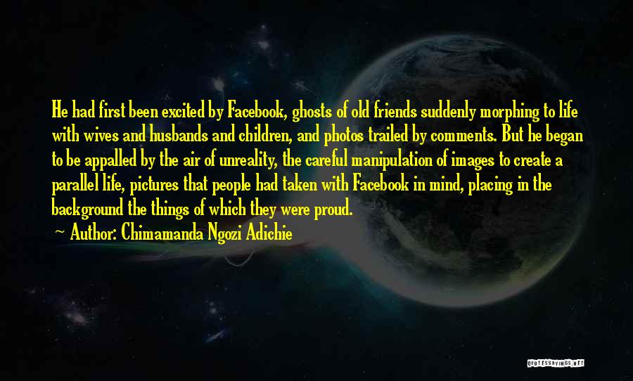 In Life Facebook Quotes By Chimamanda Ngozi Adichie