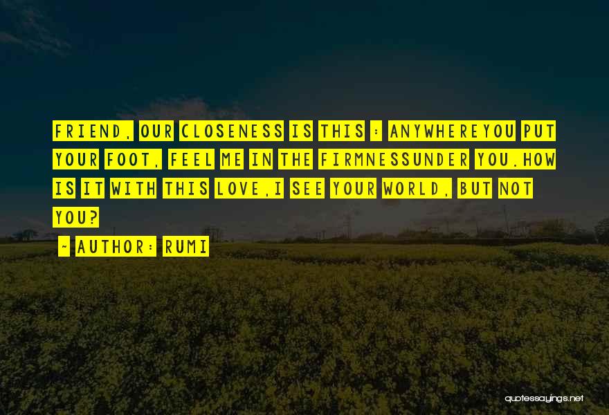 In Love With Friend Quotes By Rumi