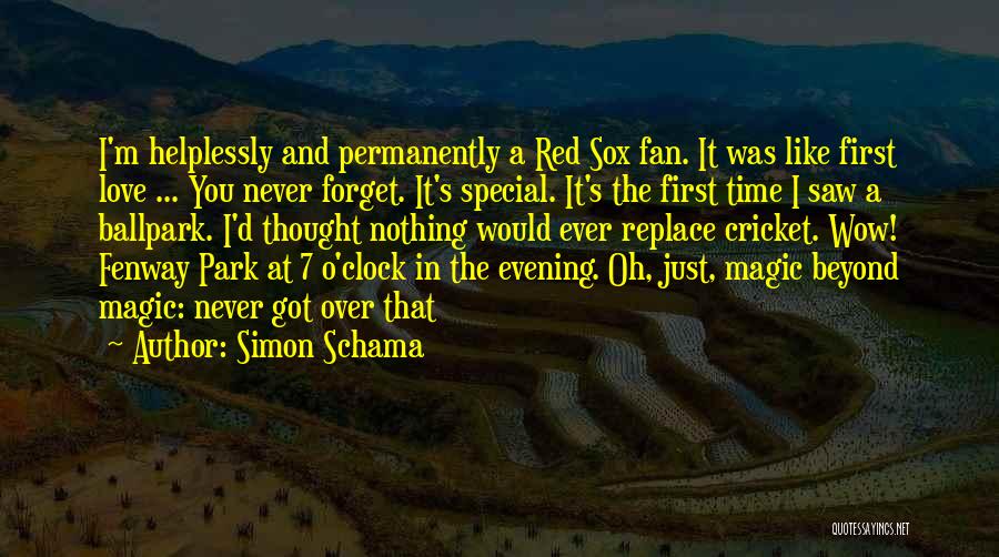 In Love With Someone Special Quotes By Simon Schama