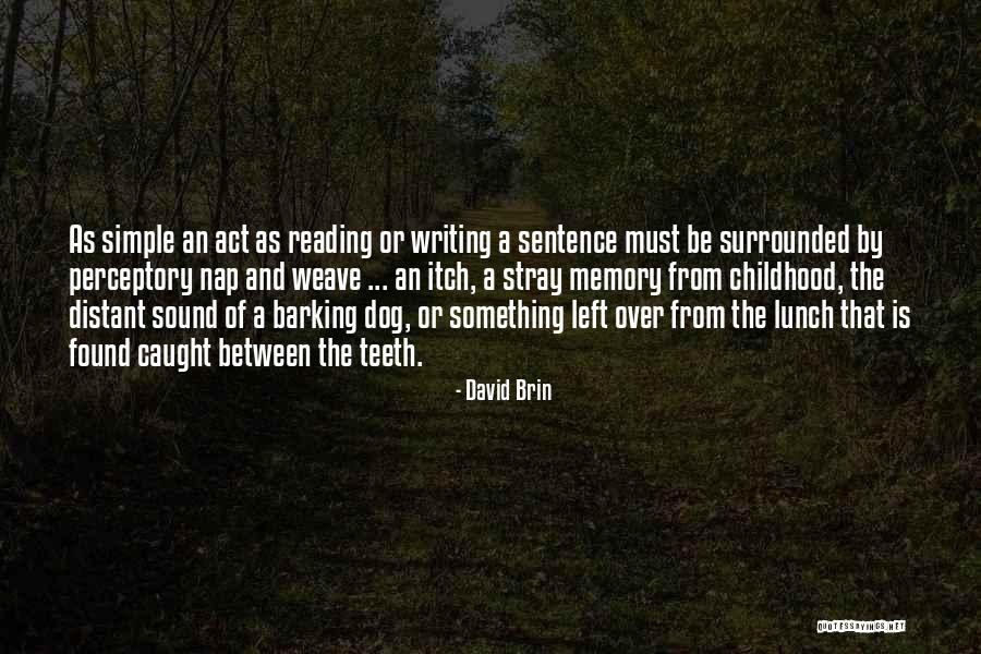 In Memory Of A Dog Quotes By David Brin In Memory Of A Dog Quotes By David Brin