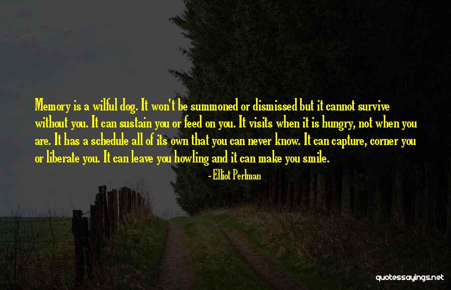 In Memory Of A Dog Quotes By Elliot Perlman In Memory Of A Dog Quotes By Elliot Perlman