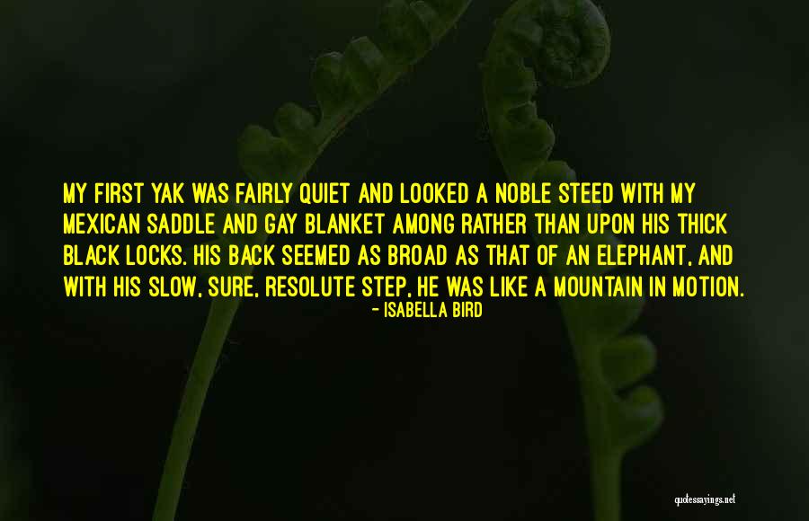 In Motion Quotes By Isabella Bird In Motion Quotes By Isabella Bird