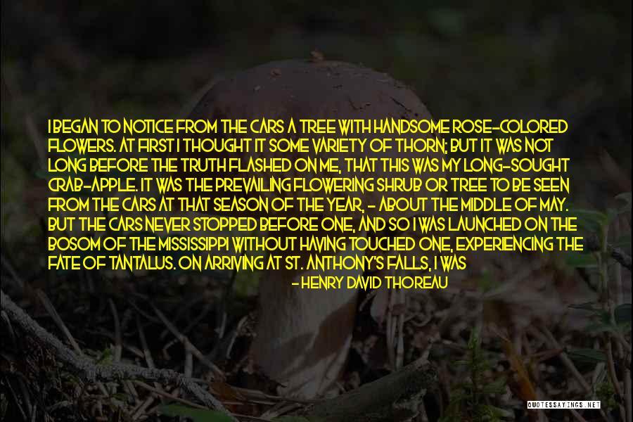 In My Bosom Quotes By Henry David Thoreau In My Bosom Quotes By Henry David Thoreau