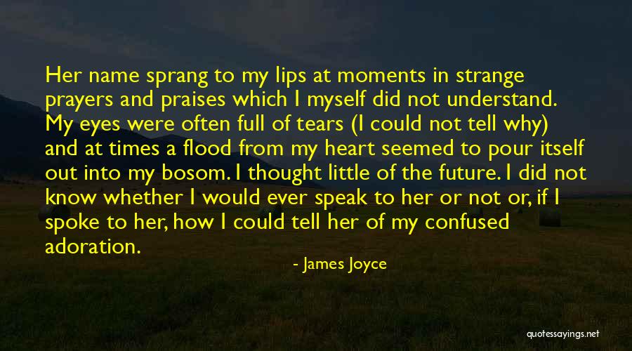 In My Bosom Quotes By James Joyce In My Bosom Quotes By James Joyce