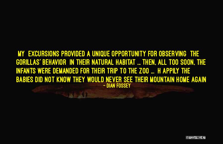 In My Habitat Quotes By Dian Fossey In My Habitat Quotes By Dian Fossey