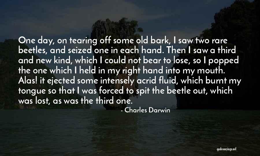 In My Hand Quotes By Charles Darwin