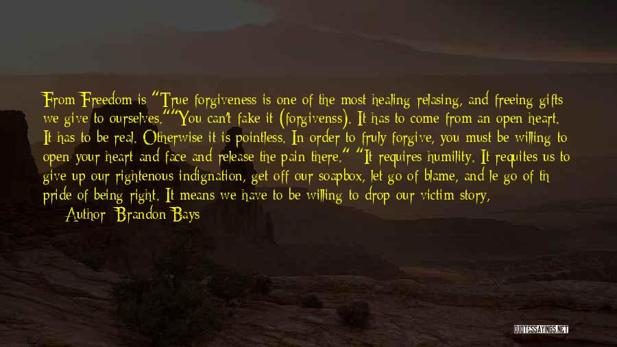 In Order To Forgive Quotes By Brandon Bays