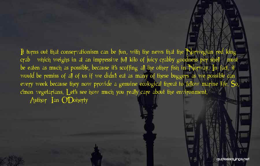 In Other News Funny Quotes By Ian O'Doherty In Other News Funny Quotes By Ian O'Doherty