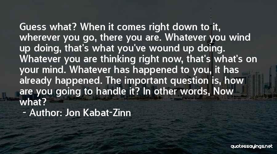 In Other Words Quotes By Jon Kabat-Zinn