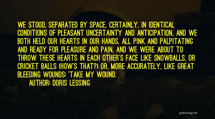 In Our Hearts Quotes By Doris Lessing