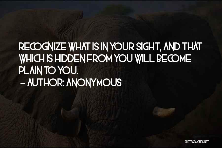 In Plain Sight Quotes By Anonymous