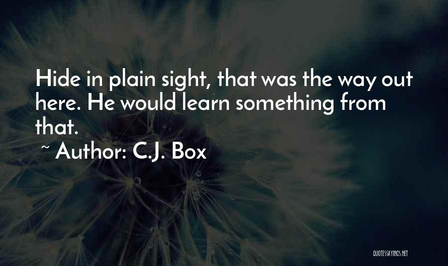 In Plain Sight Quotes By C.J. Box