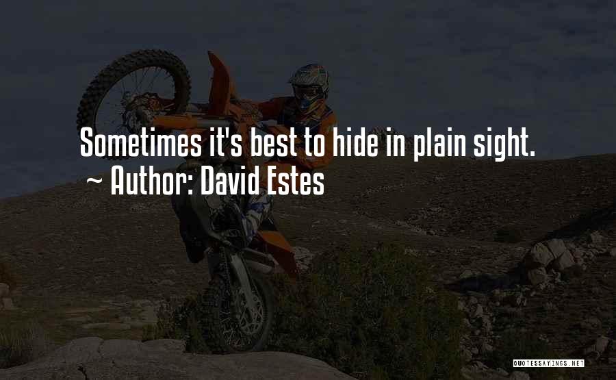 In Plain Sight Quotes By David Estes