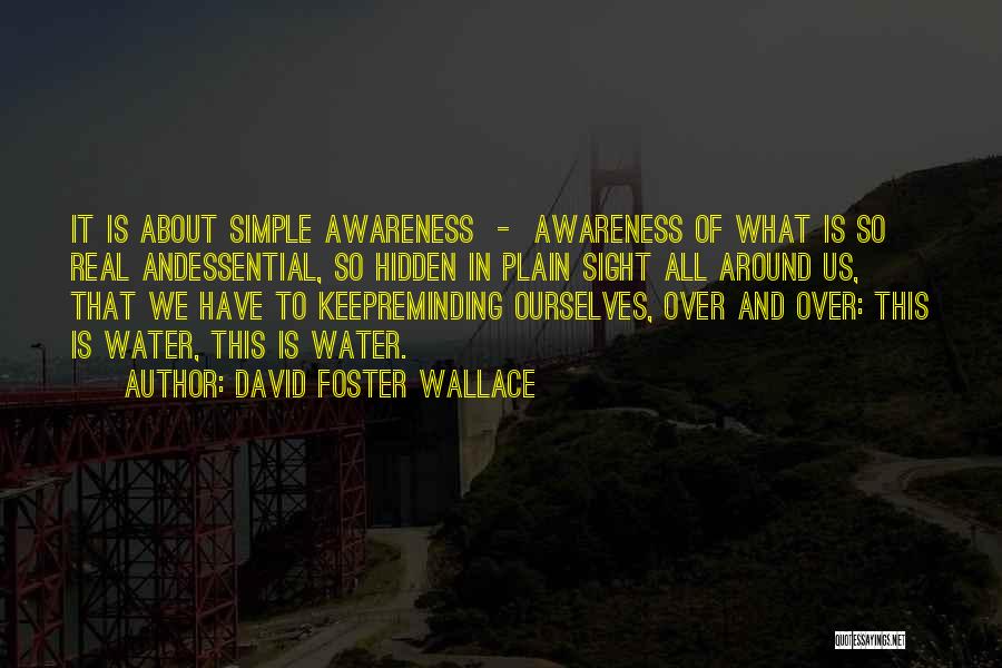 In Plain Sight Quotes By David Foster Wallace