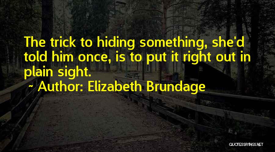 In Plain Sight Quotes By Elizabeth Brundage