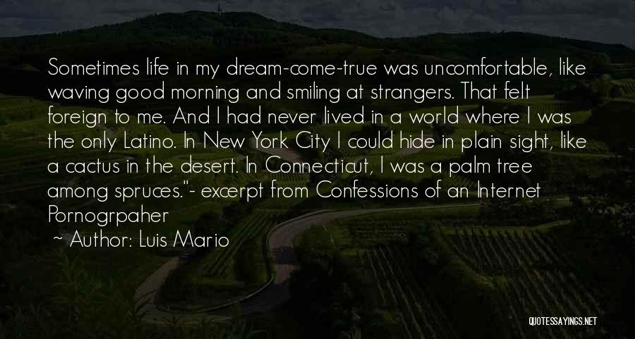 In Plain Sight Quotes By Luis Mario