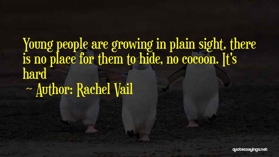 In Plain Sight Quotes By Rachel Vail