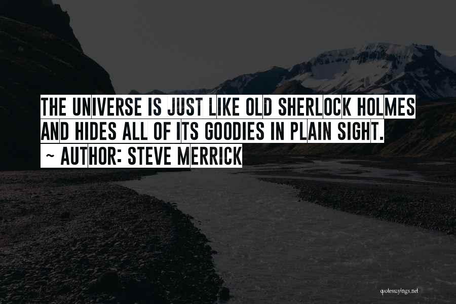 In Plain Sight Quotes By Steve Merrick