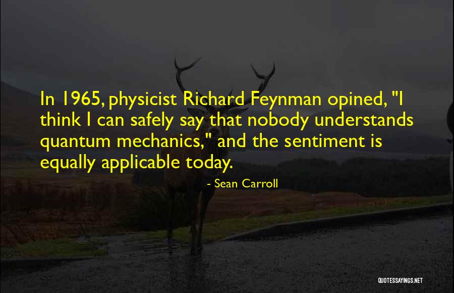 In Quantum Mechanics Quotes By Sean Carroll In Quantum Mechanics Quotes By Sean Carroll