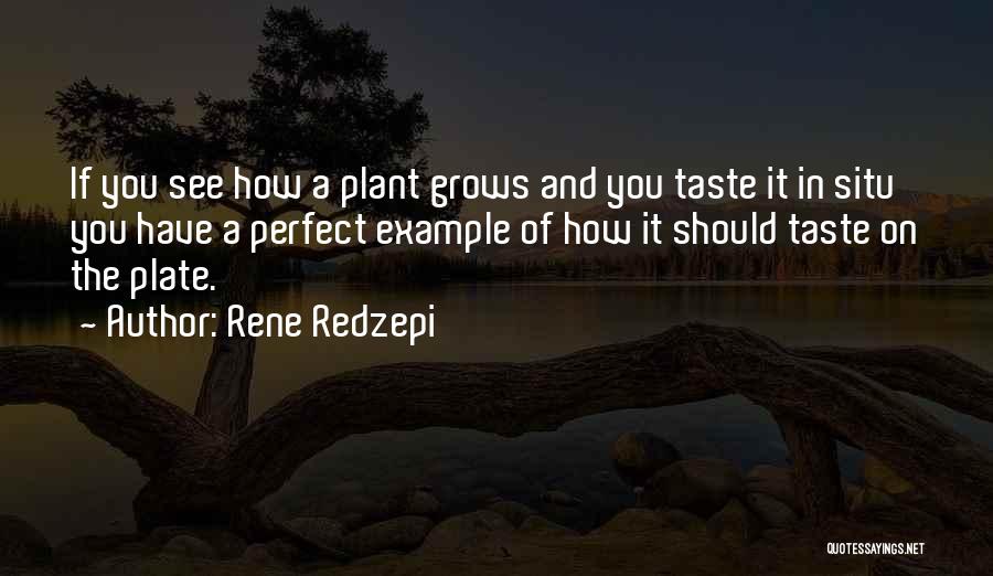 In Situ Quotes By Rene Redzepi