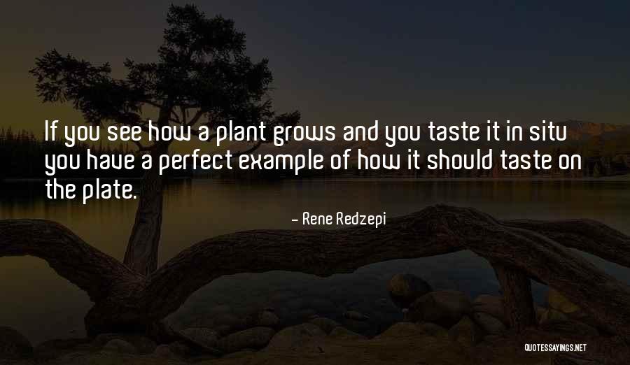 In Situ Quotes By Rene Redzepi