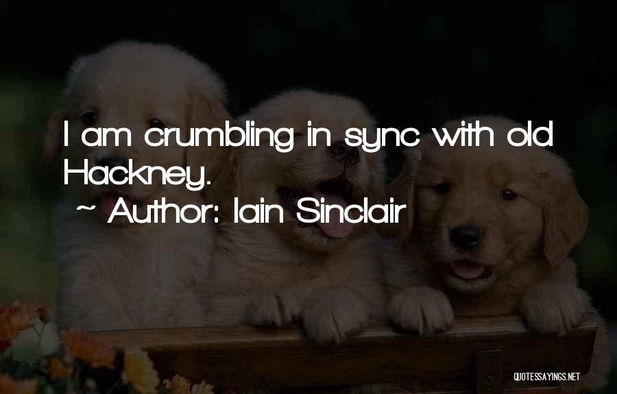 In Sync Quotes By Iain Sinclair