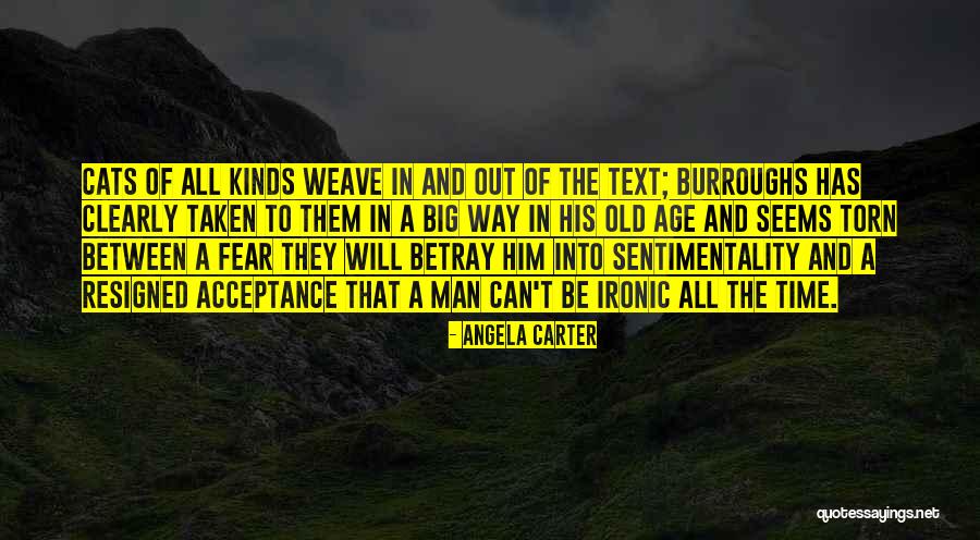 In Text Quotes By Angela Carter